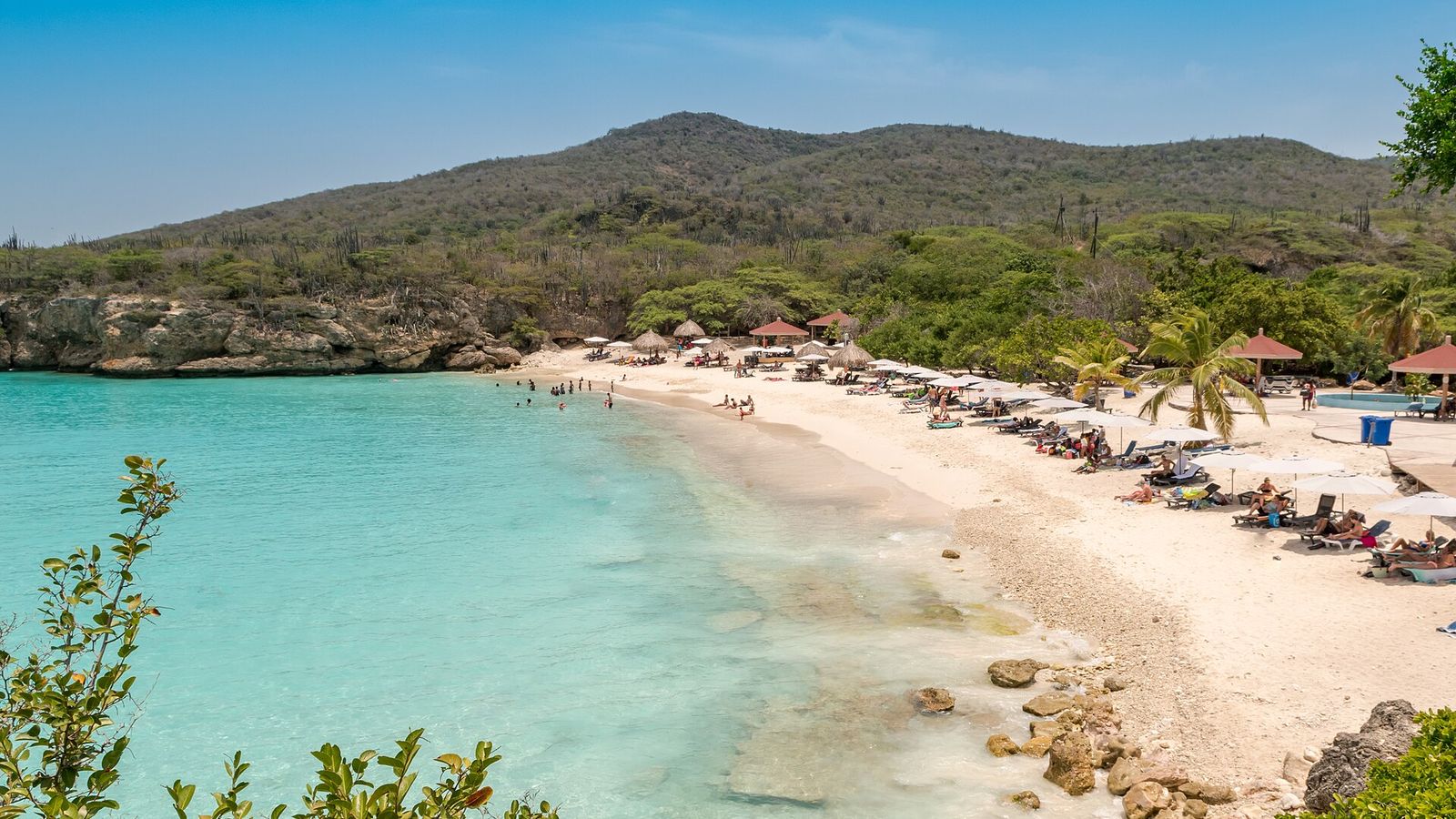 Grote Knip, Curaçao