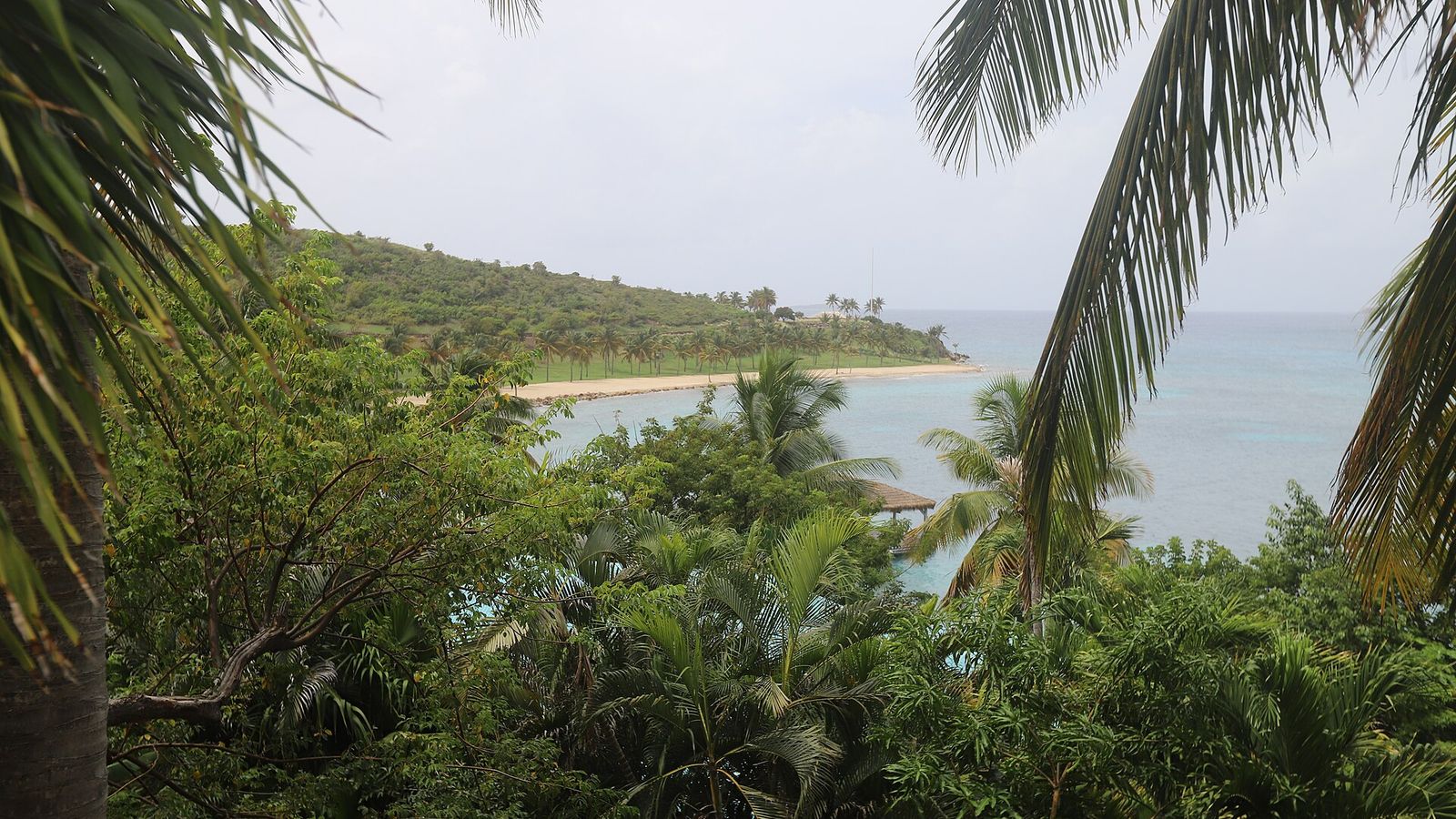 Palmbomen en tropisch groen aan een wit zandstrand